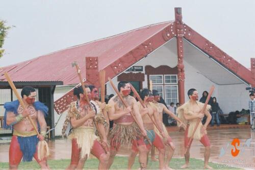 Waitangi-Tribunal-Report-Release-24
